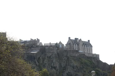 DSC_7386 (Large).JPG